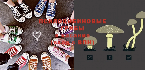 молекула духа Инсар