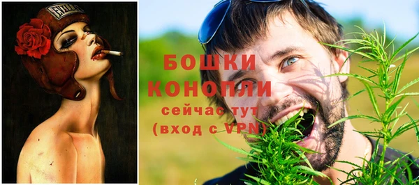 мдпв Каменка