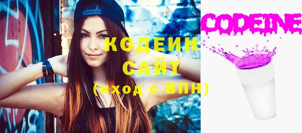 молекула духа Инсар