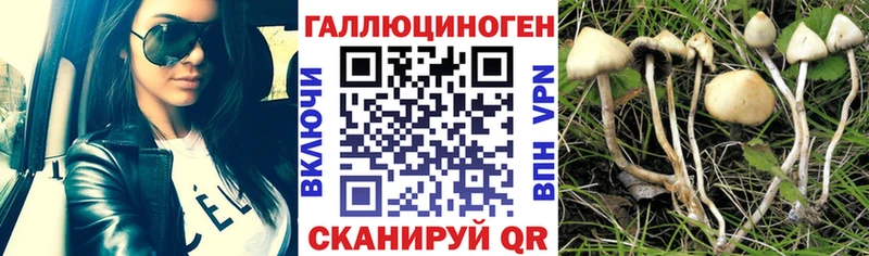 Купить закладки  Жигулёвск  Псилоцибиновые грибы ЛСД 